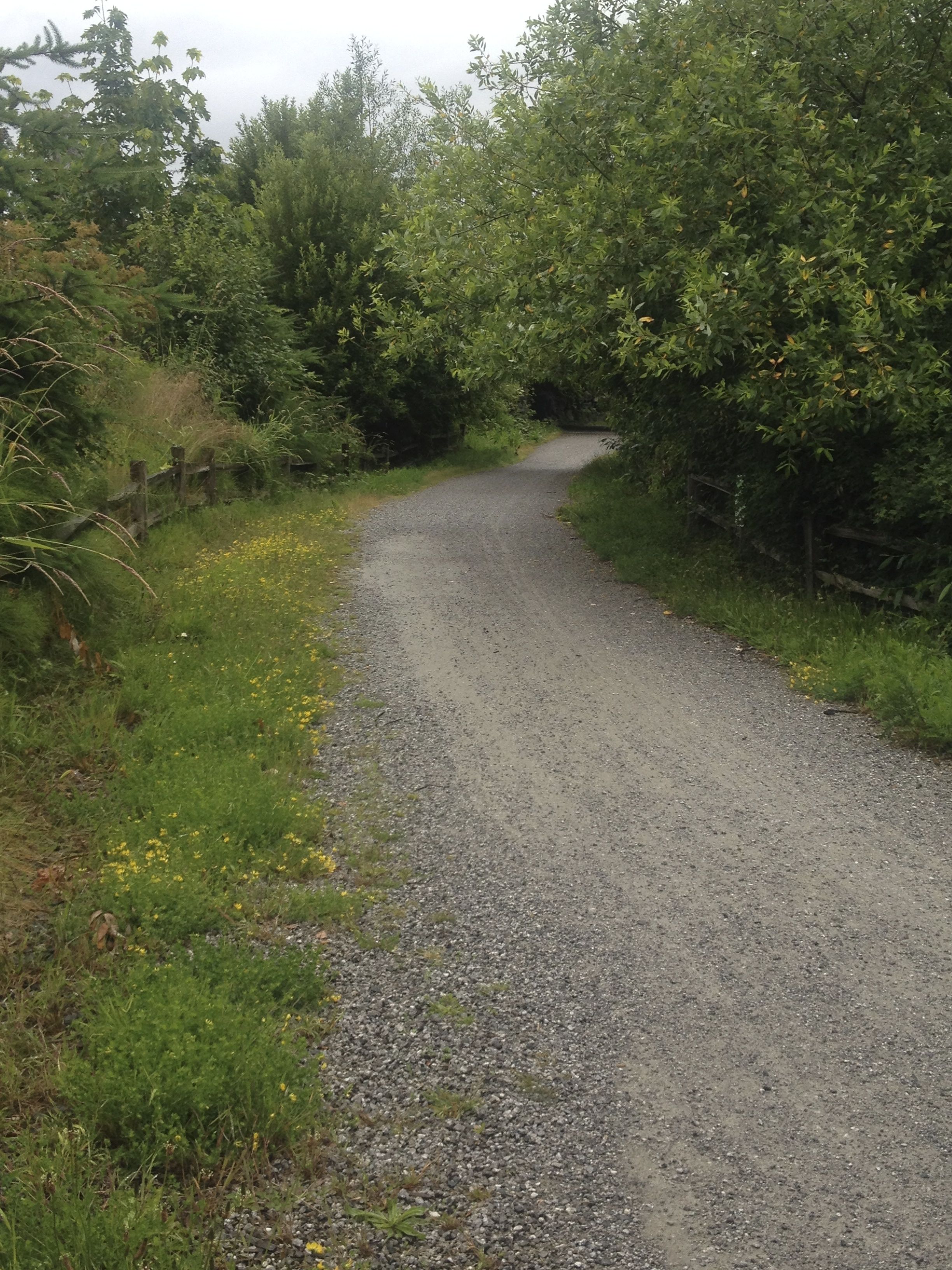 Whatcom Creek Trail near I-5