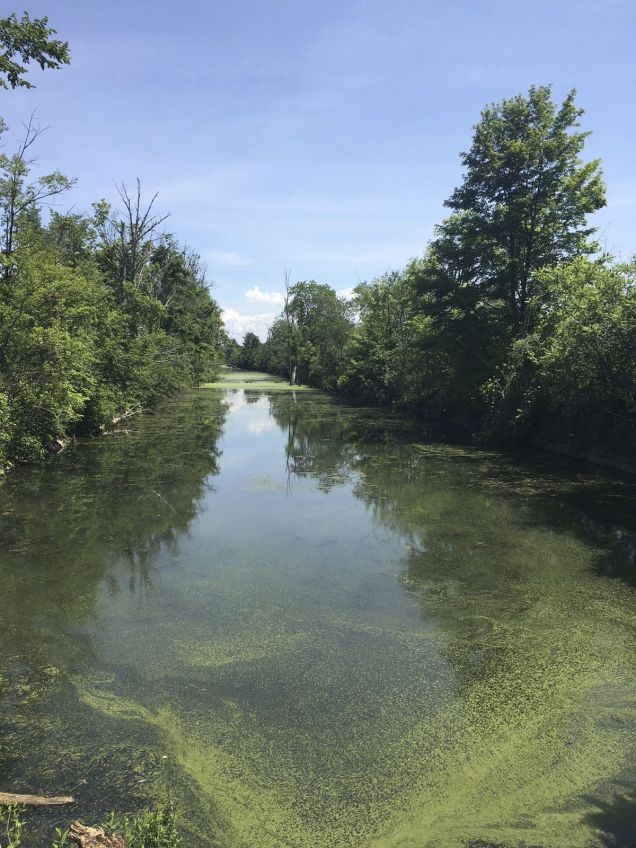The Original "Clinton's Ditch," or Erie Canal