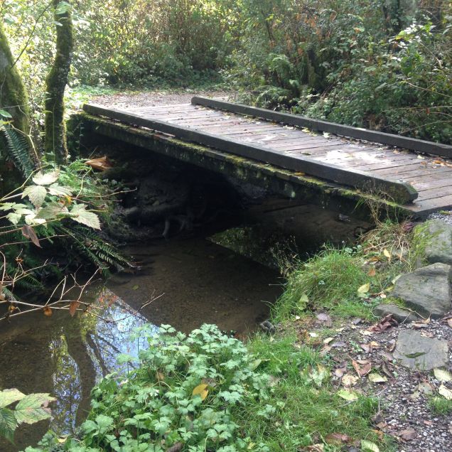 Connelly Creek