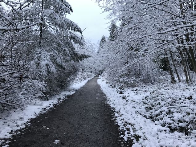 Snowy path