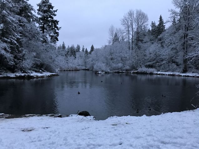 Derby Pond, Whatcom Falls Park