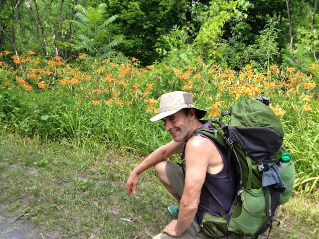 Aaron and hundreds of Tiger's Lilies