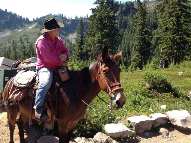 Emily, the molly leading the pack train