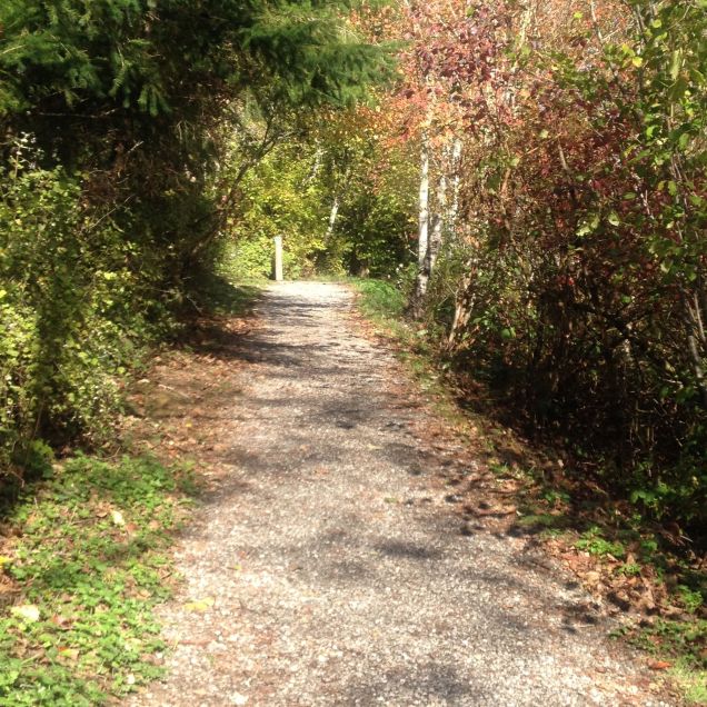 Connelly Creek Trail near Sehome Village