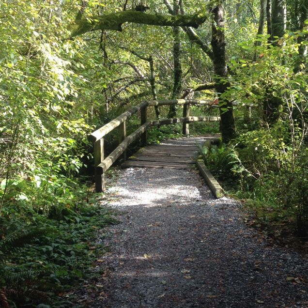 Bridge over Connelly Creek