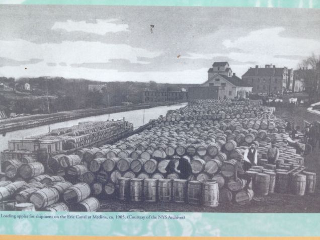 Medina apples bound for ports around the globe