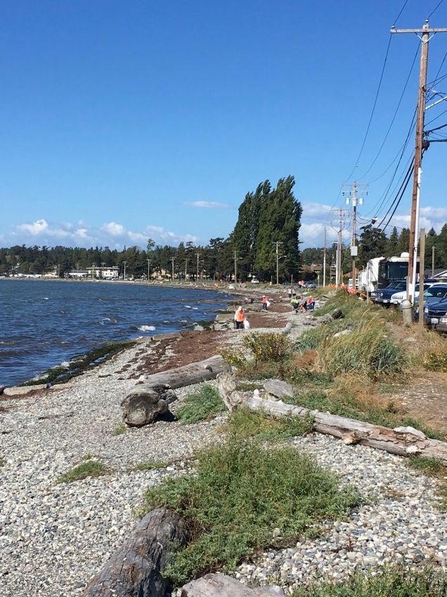 Volunteers at Birch Bay