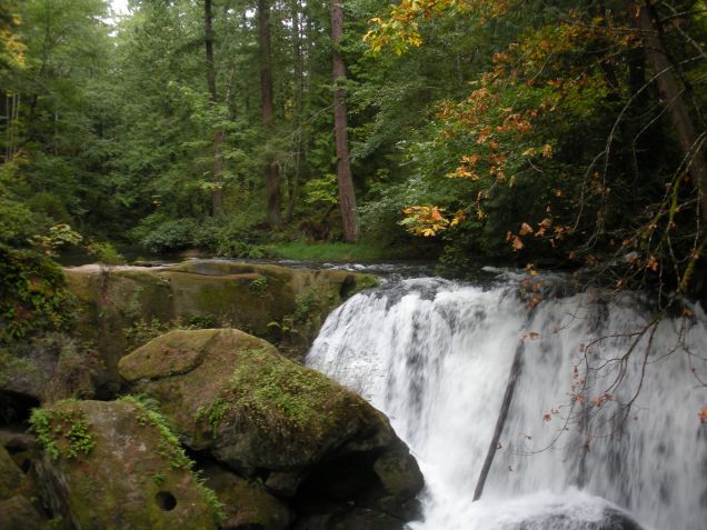 Whatcom Falls