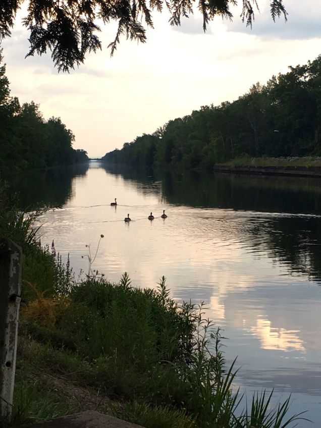 The Peace of Wild Things...