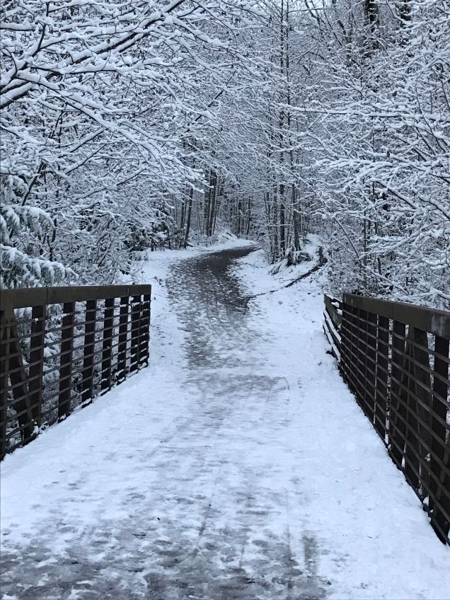 Whatcom Falls, Upper Bridge
