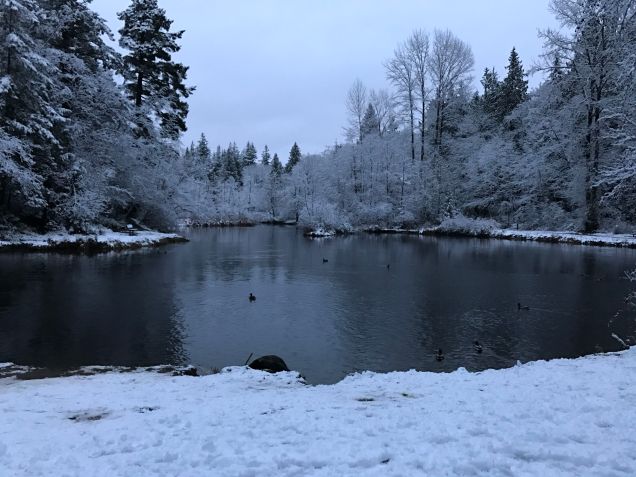 Derby Pond, Whatcom Falls Park
